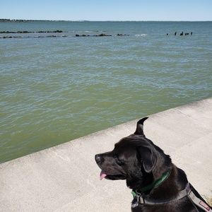 Meet your Posher, Pam